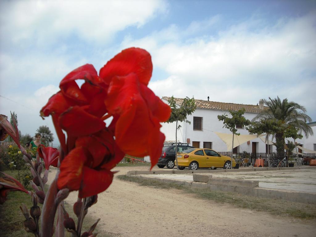 Masia Llambrich Deltebre Exterior foto
